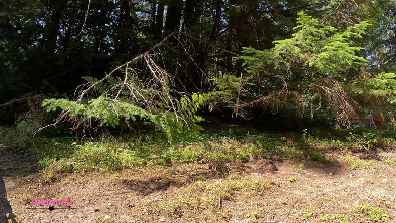 Destination Kat: Veel plassen plassen comp