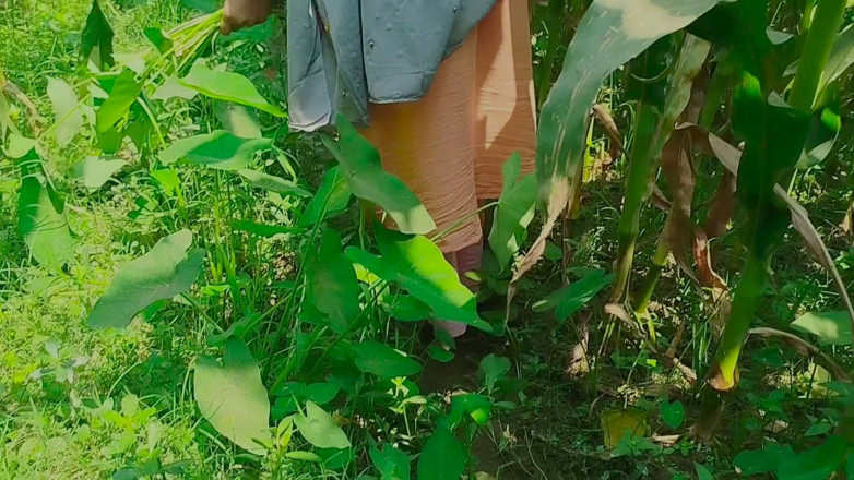 Deshi women: Gaon's Desi Chudai Jungle Mein Mangal