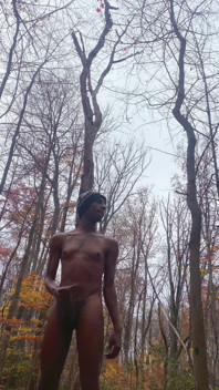 Kencing dan bate di dalam hutan