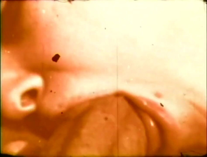 Vintage Usa: A giant big cock for a wild nasty bitch