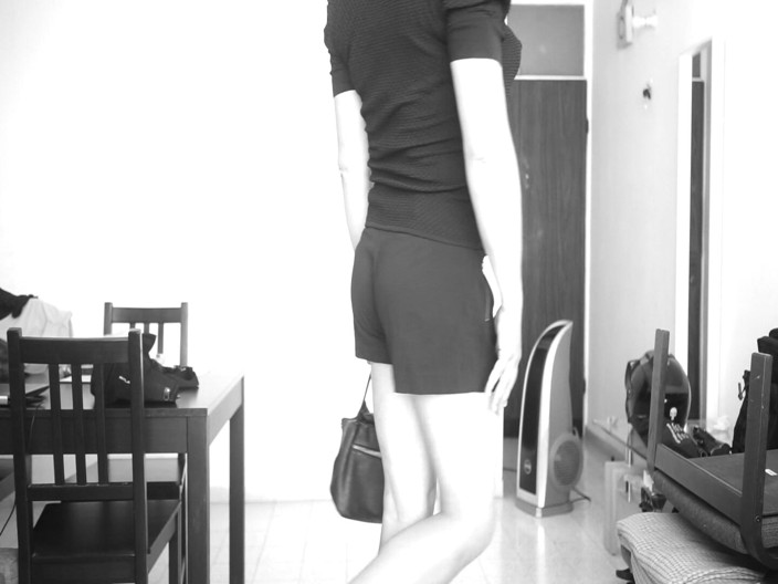 Voyager: Crossdresser Show