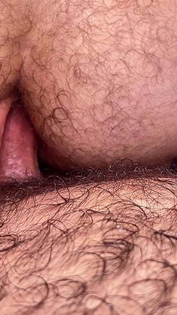 PigPervert: Me Hard, Bro