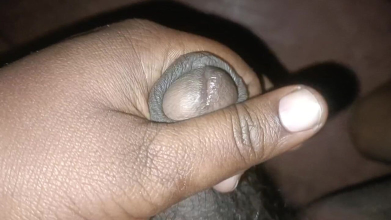 LegalVector8: Indiana calda