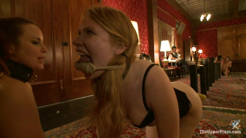 The Upper Floor by Kink: Pet Show!