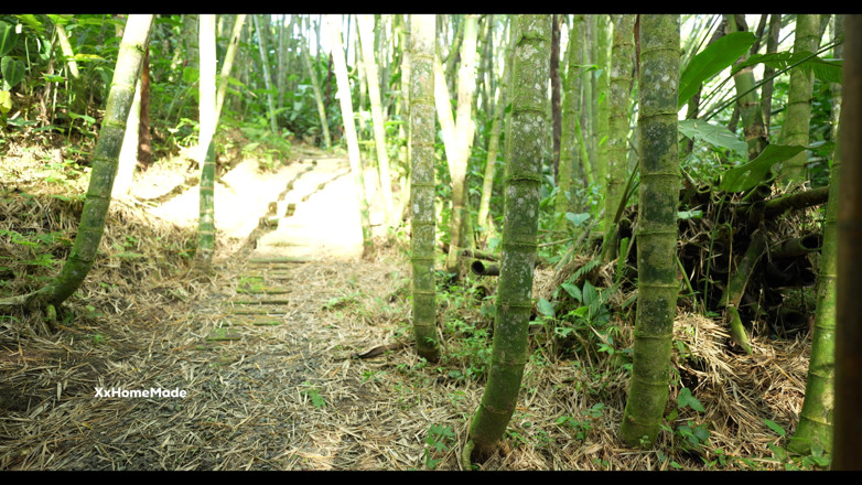 XxHomeMade: Sexe Bizarre Avec Une Petite Brune Perdue Dans Les Bois -...