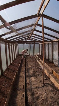 Isteri rumah bogel bekerja di rumah hijau