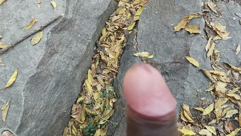 Suthavillagexxx: Ragazzo tamil si masturba nella foresta