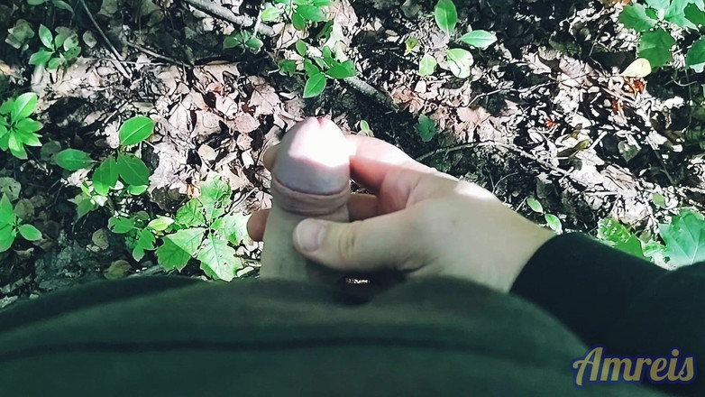 Amreis: 森林中的第一次秋季打手枪。时间很少，但我完成了！