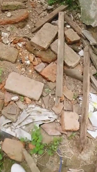 Без трусиків в руїнах
