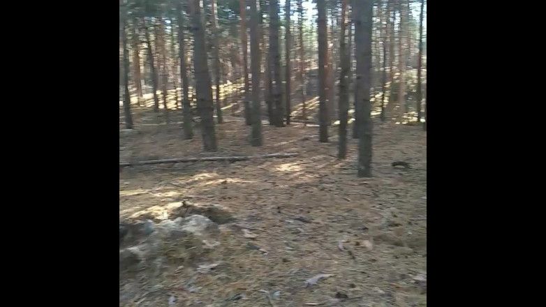 SexyAnka: Накормил соседку спермой, а потом трахнул в лесу