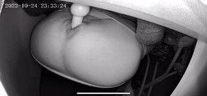 Haggy Baggy: Dřevěný knoflík zadku dovnitř a ven z rukou