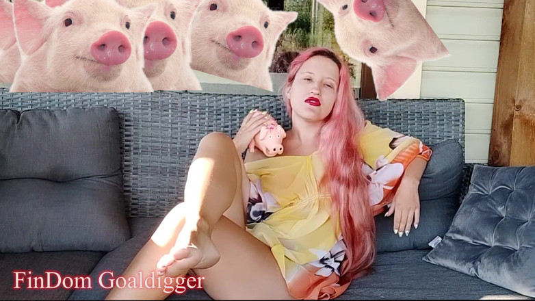 FinDom Goaldigger: Revisão do formulário de solicitação de escravo em dinheiro