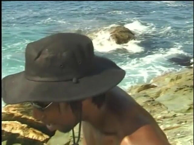 Hot and Wet: Hermoso sexo en la costa por ébano