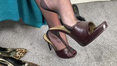 Mr MF: Nyonya wanita dengan kaki yang seksi ini lagi asik harmoni...