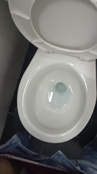 Masturbation and Urination in Street Bathroom