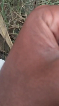 Desi Mahol