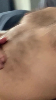 My Morning Wood'a bak