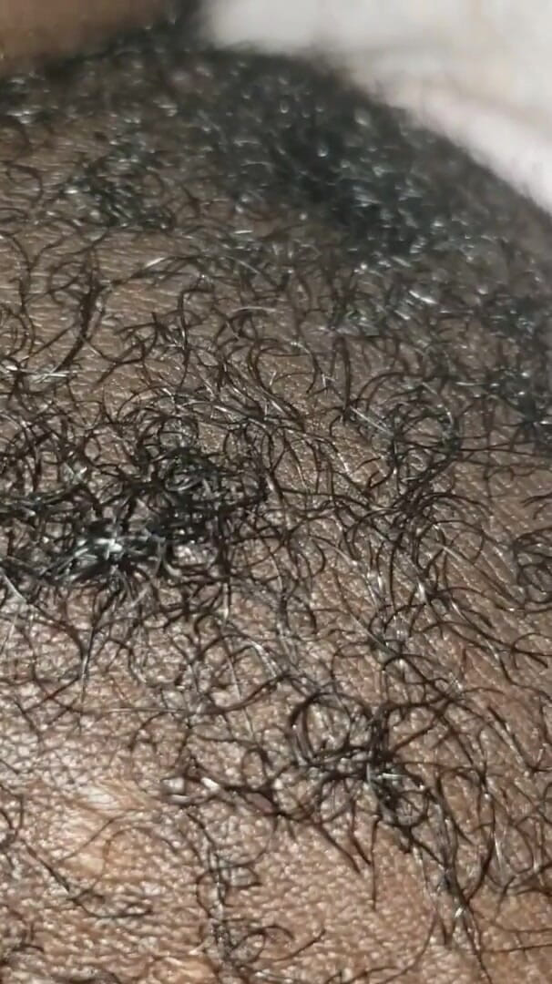 Hairy Pussy (Rose blue 2)