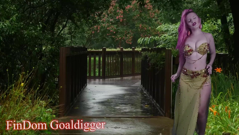 FinDom Goaldigger: 트리로 변환