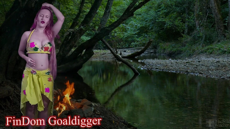 FinDom Goaldigger: Cum control