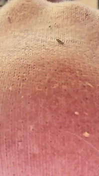 5 dakikalık kirli beyaz çorap ibadeti, her şeyi bitirebilir misin?