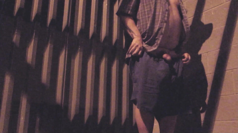 The porky pervert: Risicovolle nachtelijke state jackoff