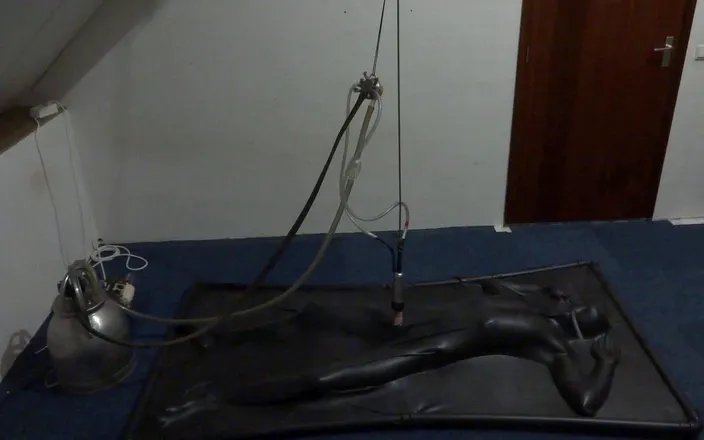 NL Milking: Vacbed milking