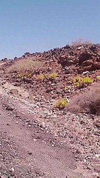 Couple Is Hiking Naked Near the Coast