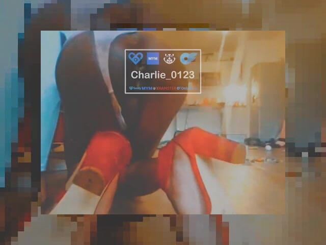 Charlie-0123: 30 Zentimeter, die große herausforderung