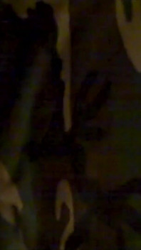 Starý sex Vid 1