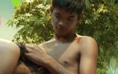 It's Asian Exotic, Tan and Nut
