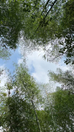 linahenaossx: Spruzzo Nel Mezzo Della Natura