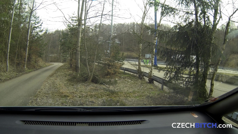 Czech Bitch: Cagna ceca 20: bionda vogliosa piena di sperma