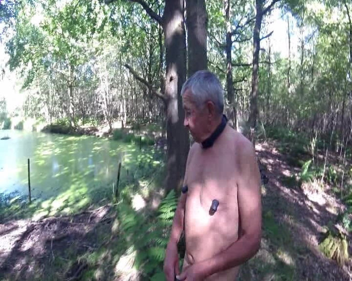 Andy: Ormandaki Gölet