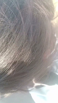 Il a sucé la bite de sa douce copine dans les bois, vidé toute l’eau