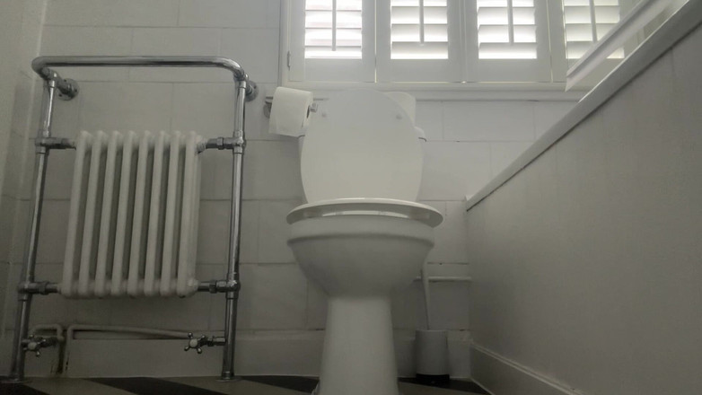 Miss Valentina: Komm über meine toilette