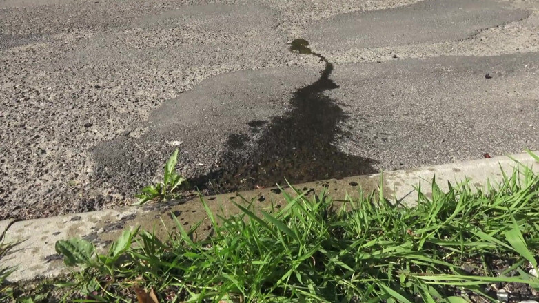 Wanilianna: Compilación de lluvia dorada