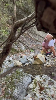 Fodidos na Floresta