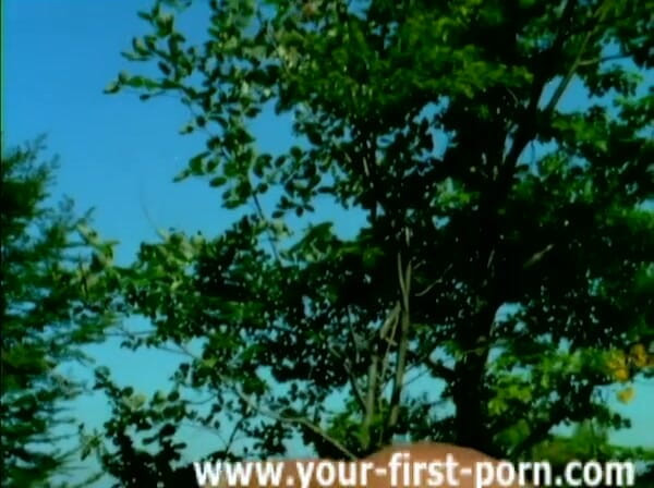 GERMAN PORN CLASSICS: Nagi i Kess w Koenigssee - Filmy księcia - DVD