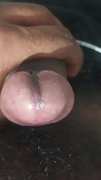 Chàng trai trẻ làm chủ
