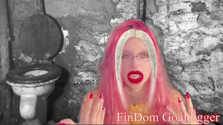 FinDom Goaldigger: Guld toalett transformation