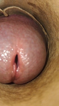 POV: Cummin' Inside of You