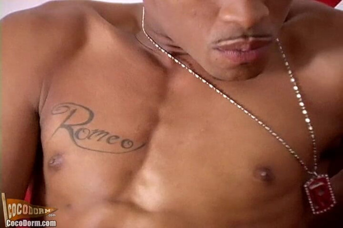 CocoDorm: Romeo St. James