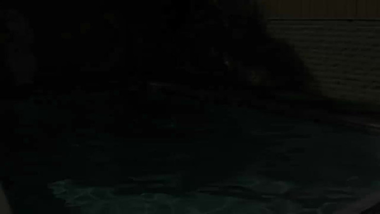 Pantheon men: Oasis de oso: Marc y Rik