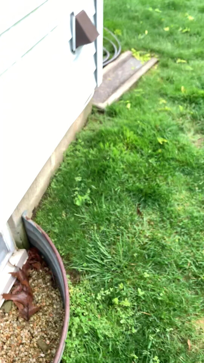 Jaycee starr: Přistižena při masturbaci přítelem