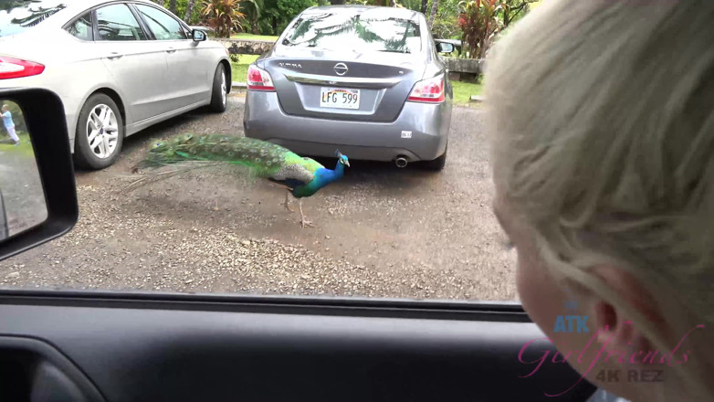 ATK Fans (Girlfriends): Vacanță virtuală Hawaii cu Elsa Jean 5/8