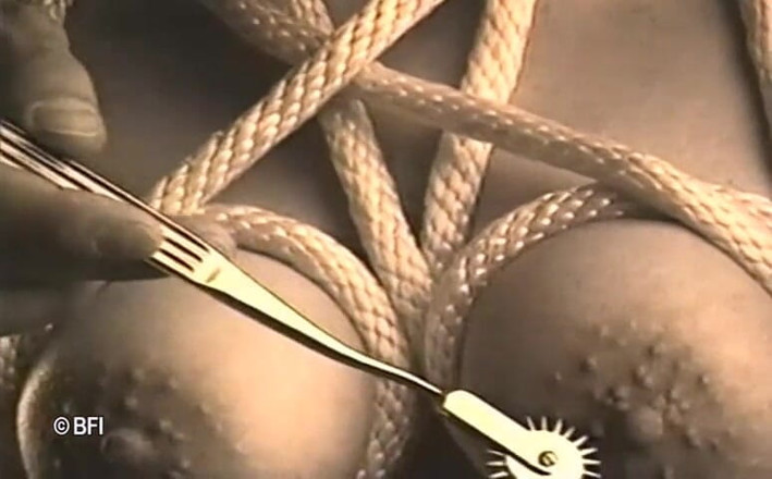 Art of Bondage: A arte da escravidão, vintage - DVD