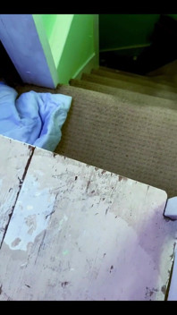 Check Out the Mess I Had to Clean up After My Last Video