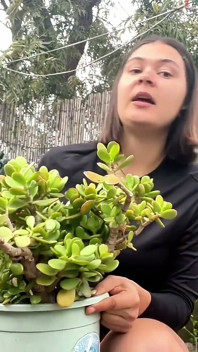 Outdoor Piss on the Plant, Strip and Squat in the Garden