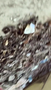 Desvestirse al aire libre, pose en gimnasio, consolador abandonado en edificio y consolador en coche